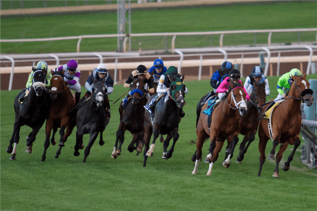 Rainy Forecast Prompts Santa Anita to Delay Start of Meet to Saturday