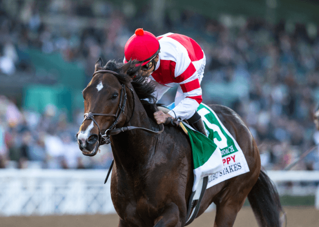 Santa Anita Suffers Two Deaths in First Week of Meet; Opening Day Handle, Attendance Drop